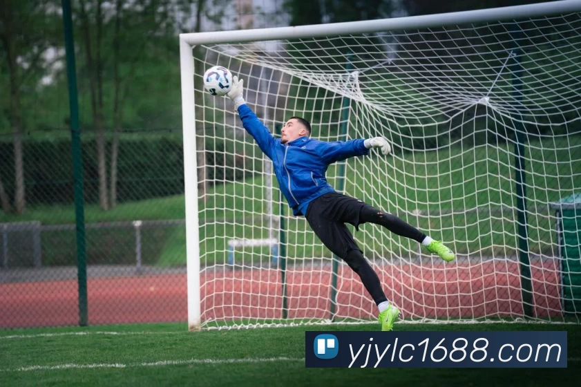 盈吉娱乐城官网平台生态图